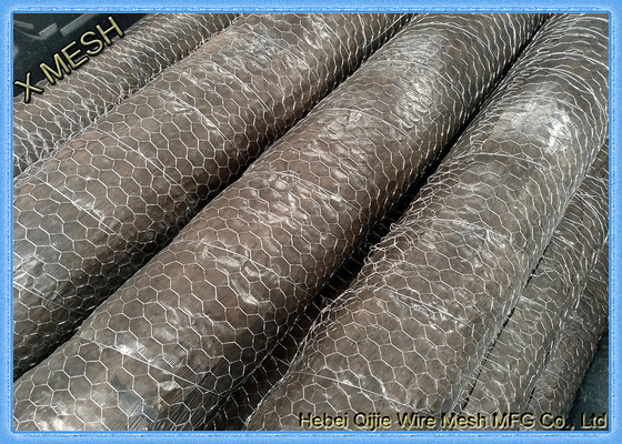 maglia esagonale galvanizzata del pollo ricoperta PVC della rete metallica della maglia del nastro metallico di maglia di 1/2»