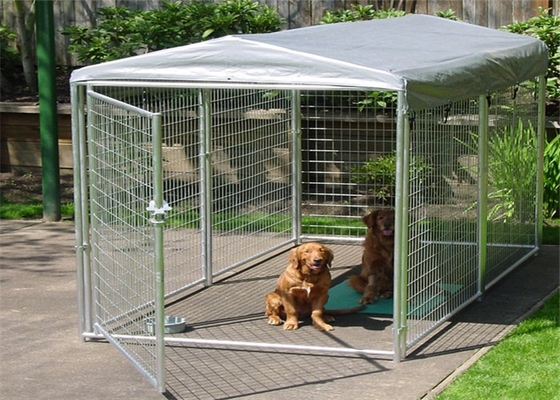 Grande gabbia piegante dell'animale domestico per la Camera di cane/la fossa di scolo cesto per cani del metallo con il portone