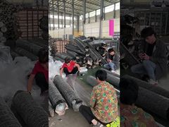 Griglia verde di 20 Ga di rete di filo metallico esagonale decorativa di rete di filo PVC rivestita