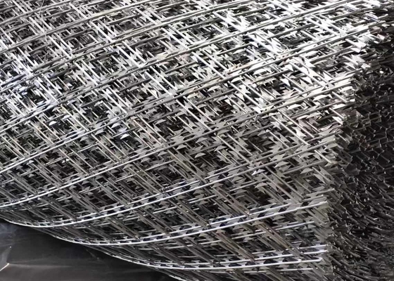 Filo spinato a fisarmonica Mesh Fence del rasoio di alta sicurezza Cbt-60 Cbt-65