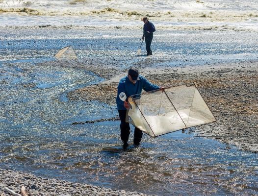 Griglia in lega di 10x10 maglie per la riparazione di reti o per la fabbricazione di schermi