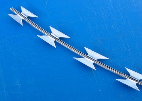 Fence di rete di filo di rasoio di sicurezza rivestito in PVC Concertina Razor Barbed Wire