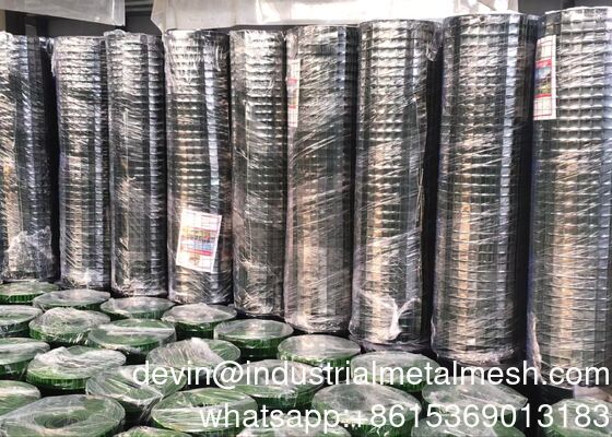 Rete saldata zincata a caldo/acciaio inossidabile/filo nero