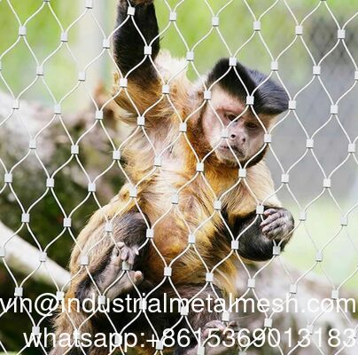 Griglia di filo di diamante tessuta per recinzioni zoologiche
