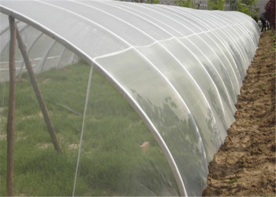 2x30m Resistente ai raggi UV Anti Insect Fly Screen Mesh Crescente Vegetable White Netting