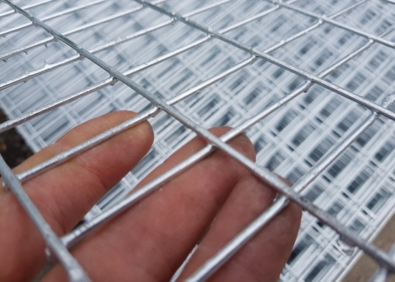 filo zincato Mesh Panels di 100x100mm 12mm