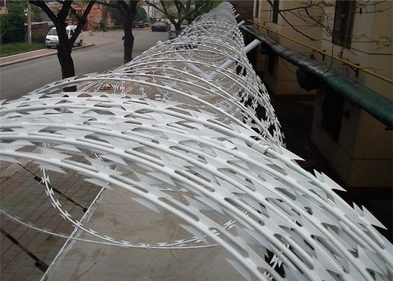 Ruggine trasversale 10m/rotolo dell'OEM del filo di ferro e del tipo anti del cavo a fisarmonica materiale del rasoio