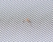maglia dello schermo della mosca dello schermo del cristallo di sicurezza dell'insetto dello schermo della porta della finestra della rete metallica di acciaio inossidabile