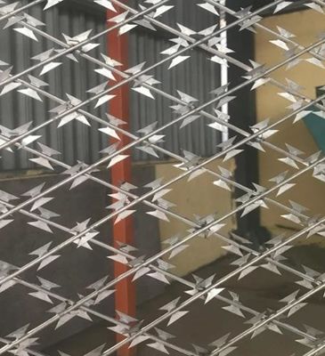 Filo spinato a fisarmonica Mesh Fence High Security del rasoio di Cbt-60 Cbt-65