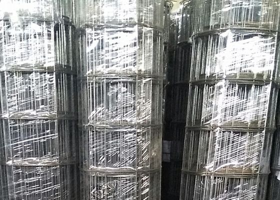 rete metallica saldata il nero d'apertura del diametro di cavo di 3mm 15cm per il mercato sudamericano