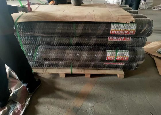 Rete metallica esagonale per pollo galvanizzata in PVC da 0,6 mm di diametro con apertura da 3/4 pollici