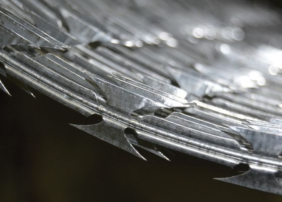 Galvanizzato filo spinato guardia di sicurezza filo in acciaio inossidabile filo rasoio