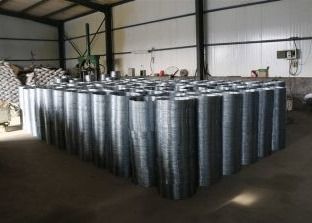 Filtro spinato galvanizzato a caldo