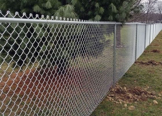 Recinzione di sicurezza galvanizzata a 9 calibri 50*50 mm con filo spinato