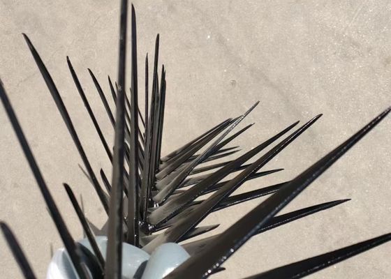 Sicurezza anti arrampicata Spike galvanizzati sul muro / muro