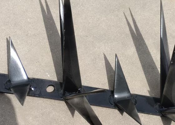 Anti-scalato recinzione di sicurezza Spike di muro tipo rasoio singolo con trattamento superficiale rivestito in polvere galvanizzato