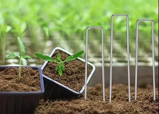 Rete per insetti fissaggio di perno di erba fissaggio di SOD adesivi chiodo da giardino in acciaio galvanizzato
