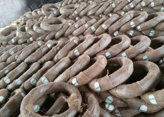 Filo zincato legante galvanizzato BWG12 dell'elettro ferro d'acciaio del filo zincato