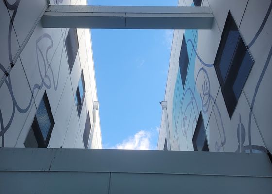 Anti cavo metallico 316 Mesh For Protection And Safety di acciaio inossidabile di corrosione della balaustra