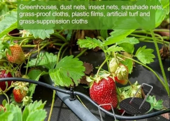 Caldo immerso Galvanizzato Tipo U Giardino erba di prato di erba di grappolo di prato di chiodo di 9 calibro diametro del filo