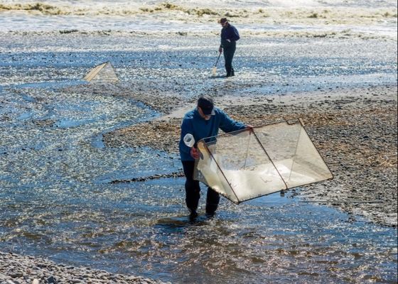 Griglia in lega di 10x10 maglie per la riparazione di reti o per la fabbricazione di schermi