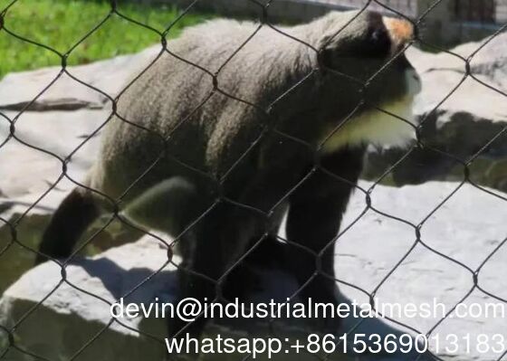 Vendita Calda Rete in Corda di Acciaio Inossidabile Flessibile Rete in Corda Metallica