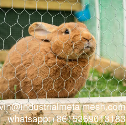 4 pollici di apertura mesh esagonale utilizzato per recinzione giardino