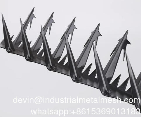 Spuntoni per recinzione da parete in acciaio inossidabile per piccioni di grandi dimensioni da 5 m