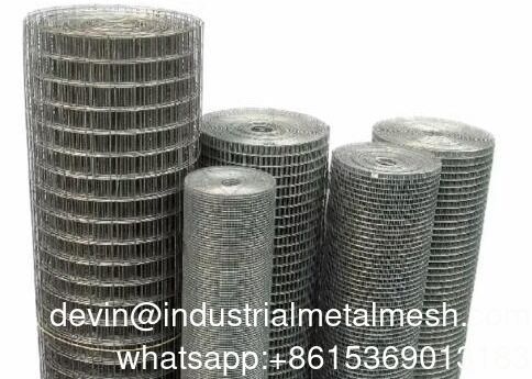 Wholesale Galvanized Iron Wire Mesh Roll Square Hole Welded Steel Chicken Cage Mesh with PVC Coating