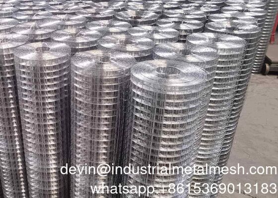 Tessuto per apparecchiature galvanizzate 1 pollice di buco quadrato Stainless Welded Wire Mesh