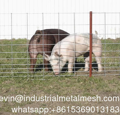 Rete metallica saldata zincata per recinzione da giardino da 6 mm
