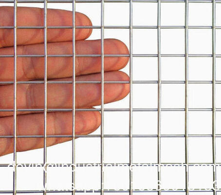 Pannello di rete di filo di ferro saldato 2*2 elettro-galvanizzato 2*1m per la costruzione