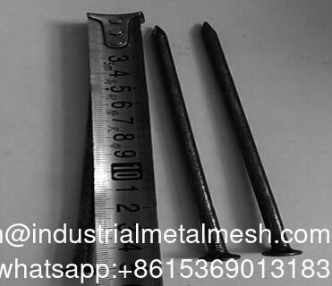 Unghie in ferro di zinco elettro-galvanizzato 1''-6'' Unghie in legno di filo di unghie Unghie comuni lucidate