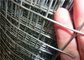 Acciaio inossidabile materiale saldato del pannello della rete metallica del foro quadrato 304 316 202