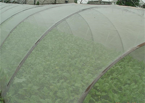 Durabile 5 anni di utilizzo Insect Repellent Net 20x10 Anti Aphid Net In serra