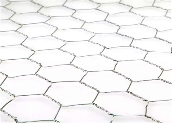 Acido resistente filo di pollo inossidabile per recinzioni di pollame e gabioni in rotoli