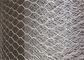 Maglia ampliata galvanizzata del nastro metallico, PVC esagonale della rete metallica del pollo ricoperto