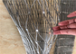 Corda Mesh Fencing Protecting Animals del puntale di acciaio inossidabile di 304 zoo