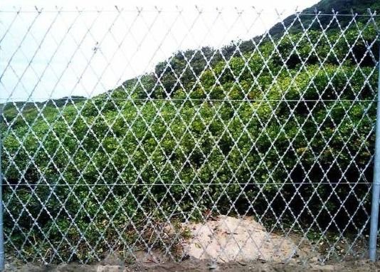 3 "X6"-IN Apertura Saldata Raggione Raggione Raggione Raggione Raggione Raggione Raggione Raggione Raggione Raggione