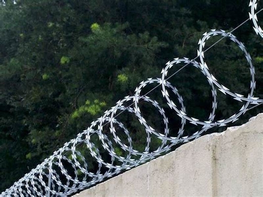 Il PVC galvanizzato ha ricoperto l'acciaio inossidabile Cbt-60 Cbt-65 del cavo a fisarmonica pungente del nastro