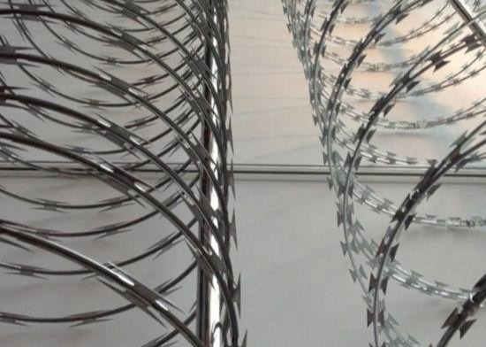 Cavo a fisarmonica del rasoio dell'anti di salita di sicurezza di acciaio inossidabile prigione pungente della lama