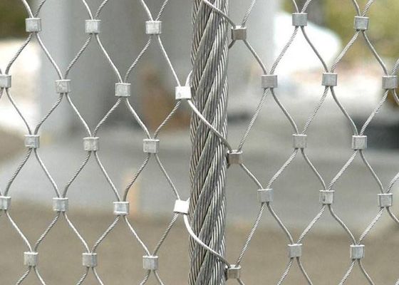 Cavo metallico Mesh Woven Stainless Steel Rope Mesh For Zoo Mesh di acciaio inossidabile di vendita 304 della fabbrica