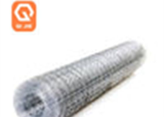 l'elettrotipia di apertura 2X2 ha galvanizzato il cavo saldato Mesh Grid