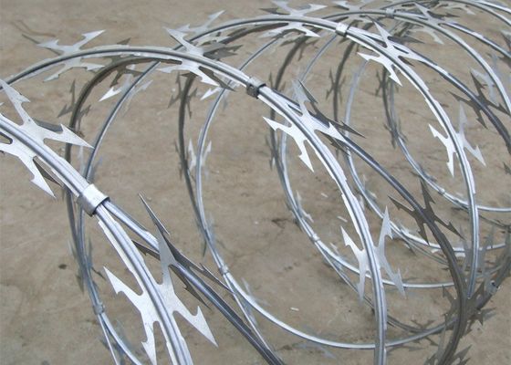 Cavo a fisarmonica Bto22 Corss del rasoio di anti corrosione pungente