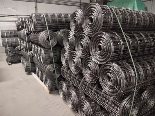 Acciaio perforato di rinforzo reticolato di cemento nero