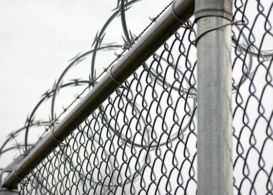 Prezzi bassi Concertina galvanizzato a caldo con filo spinato