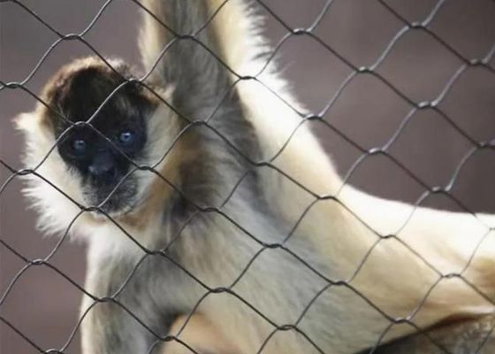 Rete metallica in fune di acciaio inossidabile Ss 304 Ss 316 Rete in fune con manicotto in acciaio inossidabile in vendita