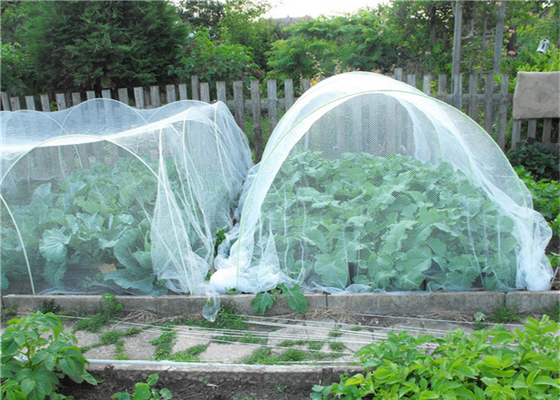 Orticoltura Hdpe Flea Screen Mesh Agricoltura Inserto Proof Network 40 Mesh
