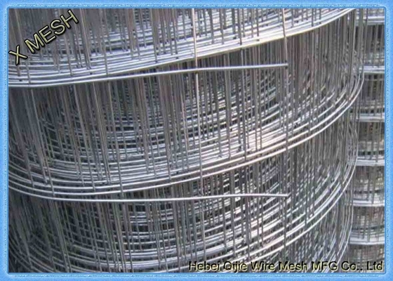 La IMMERSIONE calda/elettrotipia galvanizzata ha saldato le reti metalliche 0.8mm * 1.5m alto per Afghanistan