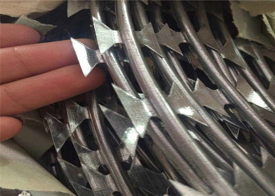 Filo spinato a fisarmonica Mesh Fence del rasoio di alta sicurezza Cbt-60 Cbt-65